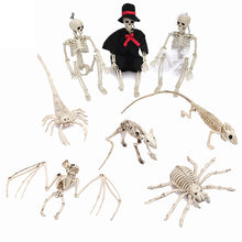 Load image into Gallery viewer, Fake Animal Skeleton Model Halloween Decor Dog Bat Spider Scorpion Cat Skeleton Scary Pendant Props Haunted House Graveyard Scene Accessories
