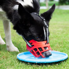 Load image into Gallery viewer, Anti-Biting Dog Mouth Cover With Reflective Strip Adjustable Dog Muzzle Anti-barking Mask Soft Rubber Can Drink Water Dog Accessories
