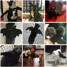 Load image into Gallery viewer, Cute Halloween Bat Cape for Dogs Cats Vampire Cape Cat Costume Spooky Party Pet Cosplay Transform Outfit Halloween Pet cat/Big Dog Accessory
