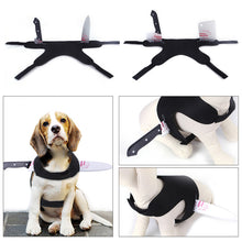 Load image into Gallery viewer, Halloween Pet Costume Dog Cat Outfit Funny Pet Transform Spooky Pet Accessory Festive Pet Apparel Pet Party Wear
