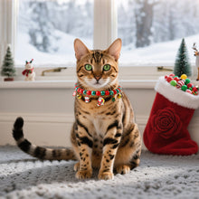 Load image into Gallery viewer, Christmas Cat Bell Collar Multicolor Lucky Charm Vibrant Color Cat Jewelry Party Costume Kitten Collar Festive Holiday Pet Accessory
