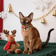 Load image into Gallery viewer, Christmas Cat Bell Collar Multicolor Lucky Charm Vibrant Color Cat Jewelry Party Costume Kitten Collar Festive Holiday Pet Accessory
