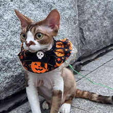 Load image into Gallery viewer, Halloween Cat Dog Lace Necklace Adjustable Exquisite Pet Pumpkin Lace Collar Cute Cool Pet Bib Scarf Small Medium Pets
