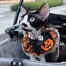 Load image into Gallery viewer, Halloween Cat Dog Lace Necklace Adjustable Exquisite Pet Pumpkin Lace Collar Cute Cool Pet Bib Scarf Small Medium Pets
