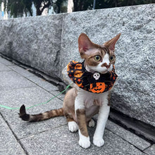 Load image into Gallery viewer, Halloween Cat Dog Lace Necklace Adjustable Exquisite Pet Pumpkin Lace Collar Cute Cool Pet Bib Scarf Small Medium Pets

