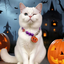 Load image into Gallery viewer, Halloween Adjustable Pet Collar with Iridescent Pearls Pumpkin Charm Puppy Kitten Necklace for Cats Dogs Princess Party Accessories
