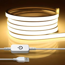 Load image into Gallery viewer, LED Strip Neon Light USB DC 5V Dimmable Touch Sensor Switch Flexible Silicone Neon Sign Tape Waterproof For Outdoor Home Decor
