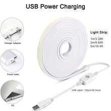 Load image into Gallery viewer, LED Strip Neon Light USB DC 5V Dimmable Touch Sensor Switch Flexible Silicone Neon Sign Tape Waterproof For Outdoor Home Decor
