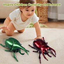 Load image into Gallery viewer, Mechanical Simulation Wind-Up Beetle Insect Model Realistic Movement Collection Display Curiosity Sparking Nature Lover's Gift Miniature Model
