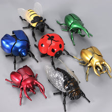 Load image into Gallery viewer, Mechanical Simulation Wind-Up Beetle Insect Model Realistic Movement Collection Display Curiosity Sparking Nature Lover's Gift Miniature Model
