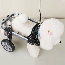 Load image into Gallery viewer, 2-Wheel/4-Wheel Pet Dog Wheelchair Fully Adjustable Rear Wheelchairs for Hind Limb Paralyzed Pet Handicapped Hind Legs Dogs Disabled Dog Cat Teddy Pet Bracket
