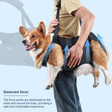 Load image into Gallery viewer, Dog Harness Traction Full Body Auxiliary Belt Shoulder Strap Adjustment For Outdoor Walking Weakness Rehabilitation Exercise
