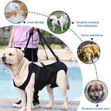 Load image into Gallery viewer, Dog Harness Traction Full Body Auxiliary Belt Shoulder Strap Adjustment For Outdoor Walking Weakness Rehabilitation Exercise
