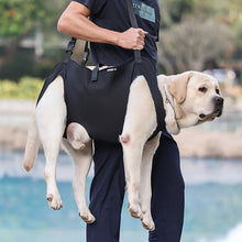 Load image into Gallery viewer, Dog Harness Traction Full Body Auxiliary Belt Shoulder Strap Adjustment For Outdoor Walking Weakness Rehabilitation Exercise
