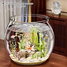 Load image into Gallery viewer, Transparent Round Ornamental Fish Tank Clear Guppy Tank Goldfish Small Fish Bowl Home Desk Decor Aquarium Hydroponic Planter
