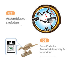 Load image into Gallery viewer, Dinosaur Skeleton Model DIY Assembly Discovery Build Your Own Dino Assembly Creative Educational Puzzle Toy Action Figure Backpack Pendant
