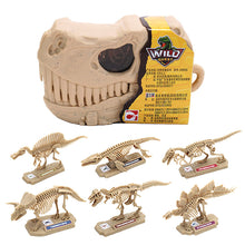 Load image into Gallery viewer, Dinosaur Skeleton Model DIY Assembly Discovery Build Your Own Dino Assembly Creative Educational Puzzle Toy Action Figure Backpack Pendant

