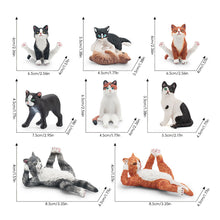 Load image into Gallery viewer, Cute Cat Figurine Collection Realistic Animal Model Desk Ornament Early Learning/Educational Animal Figure Toy For Kids Collectors Animal Enthusiasts
