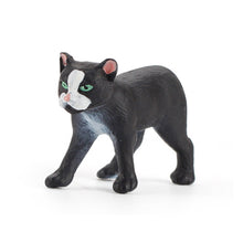 Load image into Gallery viewer, Cute Cat Figurine Collection Realistic Animal Model Desk Ornament Early Learning/Educational Animal Figure Toy For Kids Collectors Animal Enthusiasts
