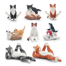 Load image into Gallery viewer, Cute Cat Figurine Collection Realistic Animal Model Desk Ornament Early Learning/Educational Animal Figure Toy For Kids Collectors Animal Enthusiasts
