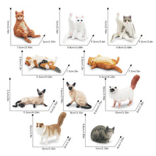 Load image into Gallery viewer, Cute Cat Figurine Collection Realistic Animal Model Desk Ornament Early Learning/Educational Animal Figure Toy For Kids Collectors Animal Enthusiasts
