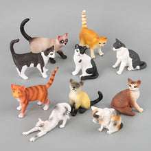 Load image into Gallery viewer, Cute Cat Figurine Collection Realistic Animal Model Desk Ornament Early Learning/Educational Animal Figure Toy For Kids Collectors Animal Enthusiasts
