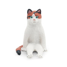 Load image into Gallery viewer, Cute Cat Figurine Collection Realistic Animal Model Desk Ornament Early Learning/Educational Animal Figure Toy For Kids Collectors Animal Enthusiasts
