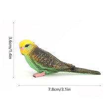 Load image into Gallery viewer, Realistic Tiger Skin Parrot Model Educational Wildlife Bird Figurine for Kids Durable Desktop Decor Bird Figurine Collectible Toy
