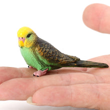 Load image into Gallery viewer, Realistic Tiger Skin Parrot Model Educational Wildlife Bird Figurine for Kids Durable Desktop Decor Bird Figurine Collectible Toy
