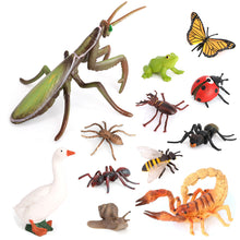 Load image into Gallery viewer, Educational Life Cycle Toys Realistic Animal Models Collection Insect Frog Spider Ducks Geese Crocodile Octopus Life Cycle Learning Desk Ornaments
