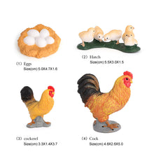 Load image into Gallery viewer, Educational Life Cycle Toys Realistic Animal Models Collection Insect Frog Spider Ducks Geese Crocodile Octopus Life Cycle Learning Desk Ornaments
