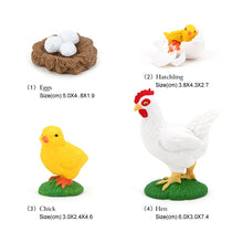 Load image into Gallery viewer, Educational Life Cycle Toys Realistic Animal Models Collection Insect Frog Spider Ducks Geese Crocodile Octopus Life Cycle Learning Desk Ornaments

