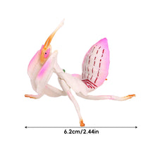 Load image into Gallery viewer, Realistic Mantis Replica Grasshopper Insect Model Animal Figurine Educational Toy Home Desktop Display Collection for Kids Science Classroom Supply
