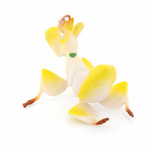 Load image into Gallery viewer, Realistic Mantis Replica Grasshopper Insect Model Animal Figurine Educational Toy Home Desktop Display Collection for Kids Science Classroom Supply
