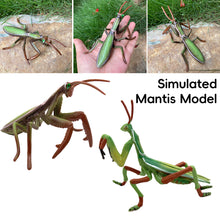 Load image into Gallery viewer, Realistic Mantis Replica Grasshopper Insect Model Animal Figurine Educational Toy Home Desktop Display Collection for Kids Science Classroom Supply
