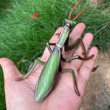 Load image into Gallery viewer, Realistic Mantis Replica Grasshopper Insect Model Animal Figurine Educational Toy Home Desktop Display Collection for Kids Science Classroom Supply
