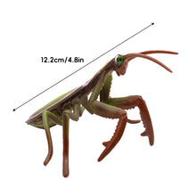 Load image into Gallery viewer, Realistic Mantis Replica Grasshopper Insect Model Animal Figurine Educational Toy Home Desktop Display Collection for Kids Science Classroom Supply
