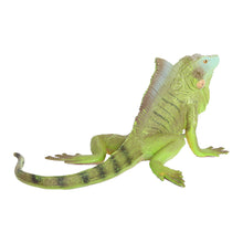 Load image into Gallery viewer, Realistic Lizard Statue Green Iguana Frilled Monitor Lizard Collectible Desktop Display Educational Tool For Kids Animal Enthusiasts Science Classroom
