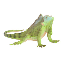 Load image into Gallery viewer, Realistic Lizard Statue Green Iguana Frilled Monitor Lizard Collectible Desktop Display Educational Tool For Kids Animal Enthusiasts Science Classroom
