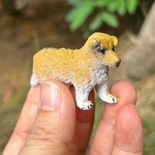 Load image into Gallery viewer, Miniature Dog Model Hand Painted Detailed Sculpture Desk Home Decor Shelf Kids Animal Lovers Collectors Educational Figurine Toy Animal Collection
