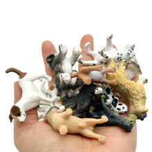 Load image into Gallery viewer, Miniature Dog Model Hand Painted Detailed Sculpture Desk Home Decor Shelf Kids Animal Lovers Collectors Educational Figurine Toy Animal Collection
