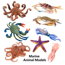 Load image into Gallery viewer, Simulation Octopus Crab Marine Figures Realistic Sea Animal Model for Kids Education Desktop Decor Collection Christmas Festival Gifts
