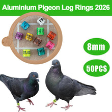 Load image into Gallery viewer, 10/50Pcs 2026 Years Pigeons Foot Ring 8x11mm Pigeons Foot Ring Parrots Leg Rings Birds Training Tool with Nnumbers

