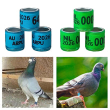 Load image into Gallery viewer, 10/50Pcs 2026 Years Pigeons Foot Ring 8x11mm Pigeons Foot Ring Parrots Leg Rings Birds Training Tool with Nnumbers
