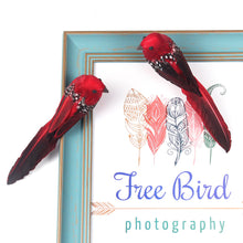 Load image into Gallery viewer, Cute Artificial Birds Fake Foam Animal Simulation Feather Birds Models DIY Craft Wedding Home Garden Ornament Decoration
