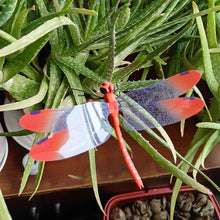 Load image into Gallery viewer, 12Pcs Simulated Dragonfly Stakes Garden Waterproof Dragonfly Ornaments for Indoor Outdoor Yard Patio Plant Pot Flower Bed Christmas Decoration
