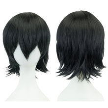 Load image into Gallery viewer, Anime Short Straight Cosplay Wig Black White Green Brown Purple Blue Gray Red Gold Man Women Heat Resistant Synthetic Hair
