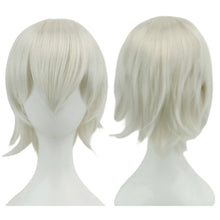 Load image into Gallery viewer, Anime Short Straight Cosplay Wig Black White Green Brown Purple Blue Gray Red Gold Man Women Heat Resistant Synthetic Hair
