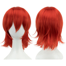 Load image into Gallery viewer, Anime Short Straight Cosplay Wig Black White Green Brown Purple Blue Gray Red Gold Man Women Heat Resistant Synthetic Hair
