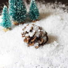 Load image into Gallery viewer, Christmas Instant Snow Powder Just Add Water Expanding Safe &amp; Fluffy Christmas Winter Village Displays Photography Props For Kids DIY Craft Holiday Decor
